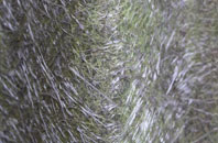 Great Plumpton fibreglass roof work